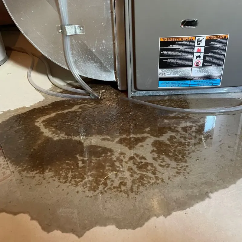 Pipe Burst and Leak Restoration in Drumright, OK