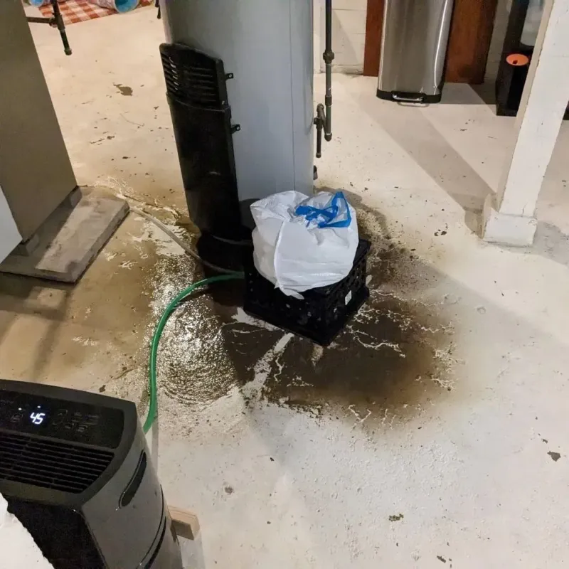 Sewage Backup Cleanup Service in Drumright, OK